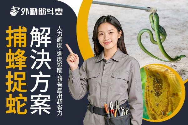 捕蜂捉蛇派工數位化有解？報表全面自動化，人力調度超便利！